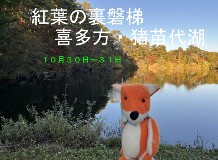 紅葉が美しい裏磐梯の五色沼へ行ってきました。多くの沼があり、水面に紅葉が映る素晴らしい場所です。また、ラーメンでも有名な蔵の街喜多方、猪苗代湖周辺にも行きました。